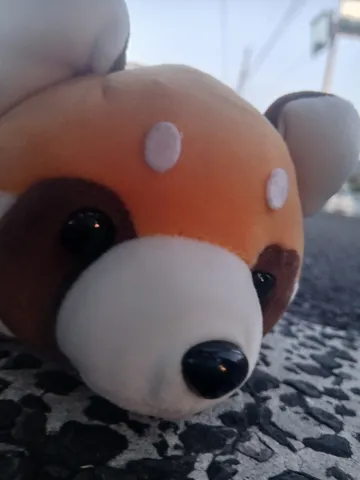 道端で遭遇、レッサーパンダ？