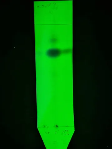 蛍光色の科学実験アート