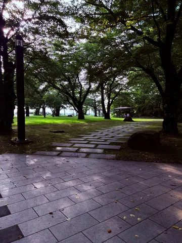 木漏れ日の小道