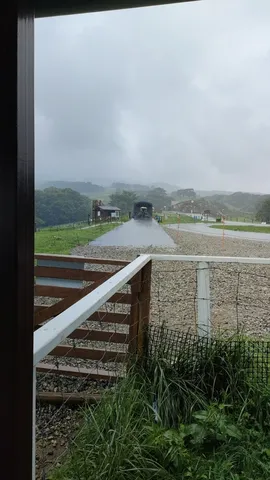 雨上がりの静かな道