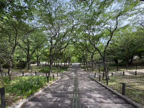 緑陰の階段、森への誘い