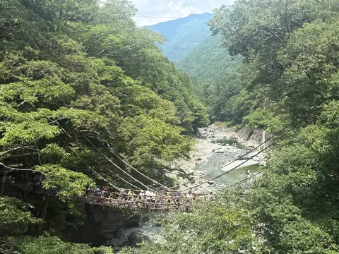 森を渡る吊り橋の息吹