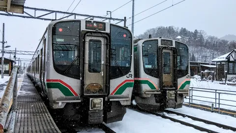 雪舞うホーム、二つの列車