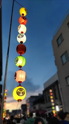 宵闇に灯る提灯の彩り