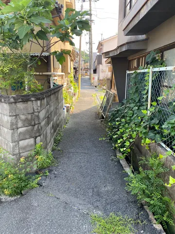 路地裏に宿る静かな時間