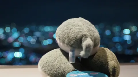 夜景とぬいぐるみ、二つの世界