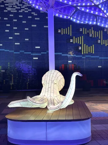 夜を彩る光のタコとデジタル壁画