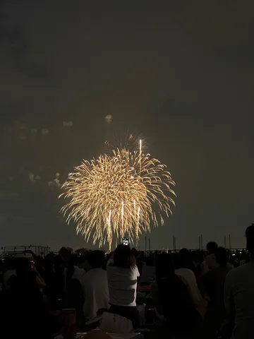 夜空を彩る感動の花火大会