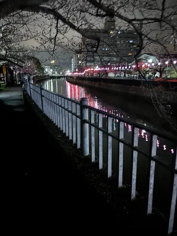 静寂を映す灯りの川