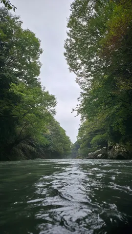 森と川のリズム