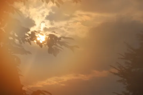 木漏れ日の幻想的な午後