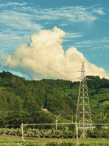 積乱雲と電信柱、緑のコントラスト