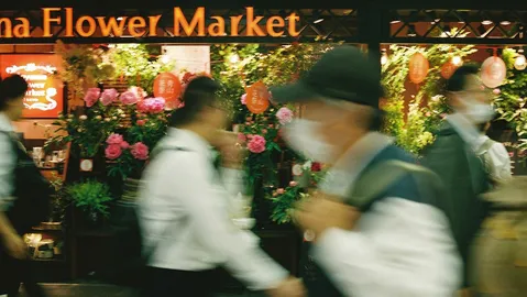 花市場の影と風