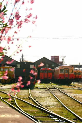桜越しの車庫時間