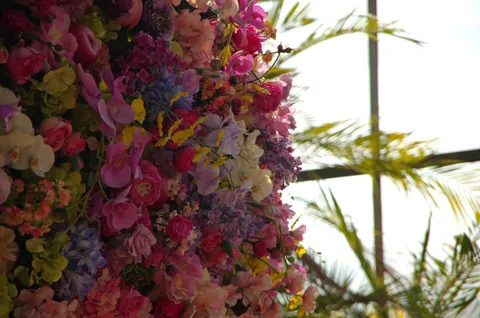 心躍る、花の万華鏡