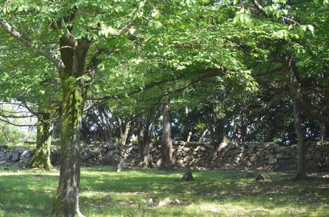 緑に包まれた石垣の庭