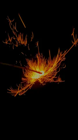 夜空に舞う線香花火の軌跡