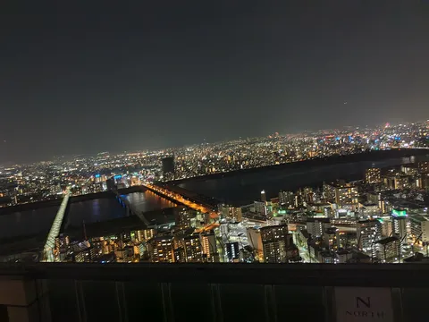 夜景に溶け込む光の絨毯