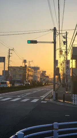 柔らかな光が彩る情景