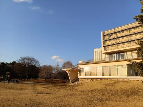夕陽に映える建物と公園