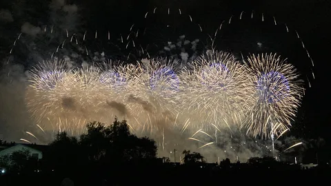 夜空を彩る金色の花火