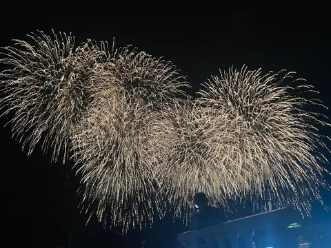 夜空を彩る光のシャワー
