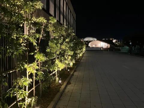 夜の庭に灯る光の道
