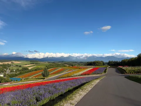 花畑が山を呼んでいる