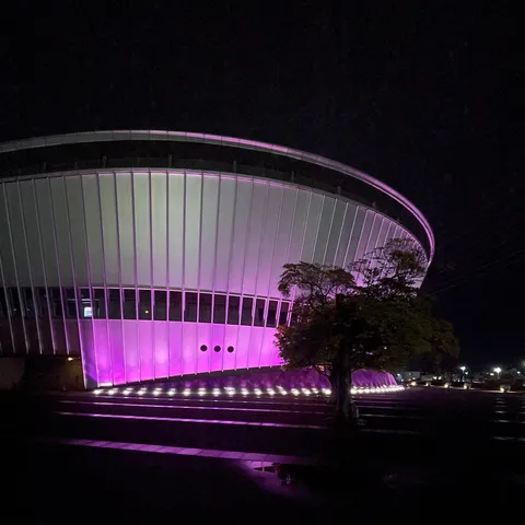 夜空に輝く紫の光