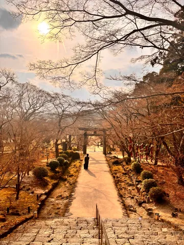 陽光導く参道の情景