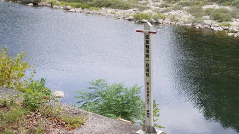 流れを見つめる標柱
