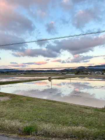 空と水田の静かな対話