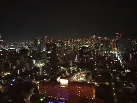 都市の光が描く夜景