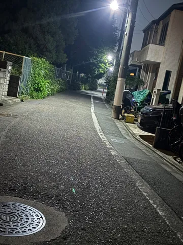 夜の小路と街灯の静けさ