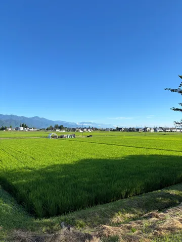 真昼の田園と青空