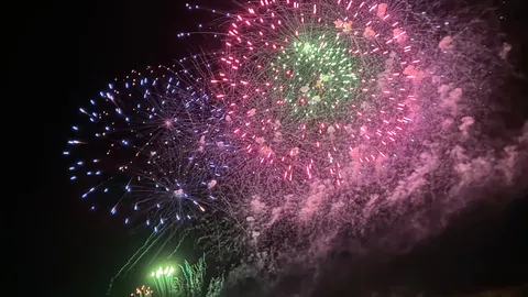 夜空を彩る光の芸術