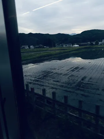 車窓に広がる水田の景色