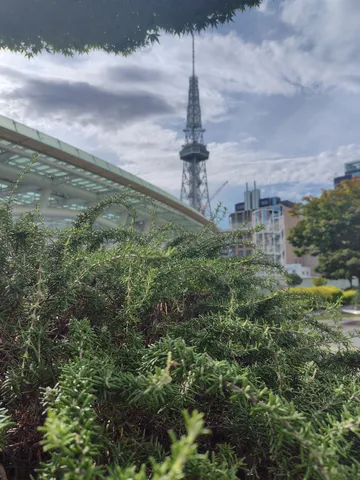 都会の空と緑のコントラスト