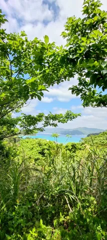 木漏れ日と碧い海