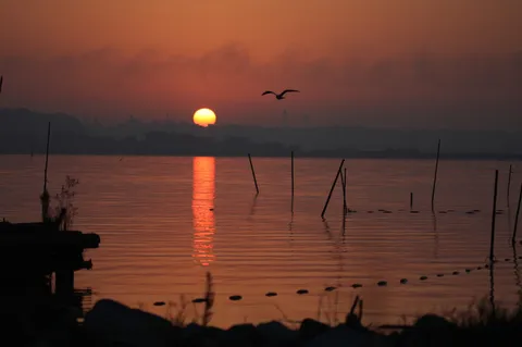 夕陽と水面の静寂