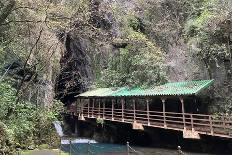 渓谷を彩る緑の屋根の遊歩道