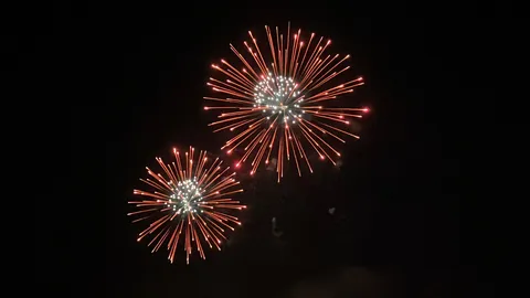 夜空に咲く、鮮やかな大輪の花