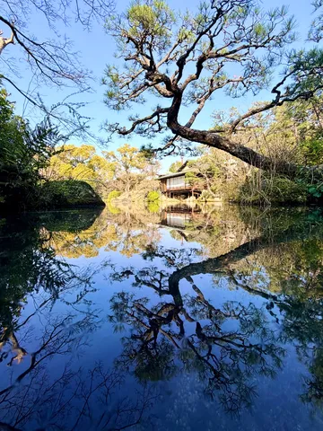 鏡面水面に映る、静謐な日本庭園の木漏れ日
