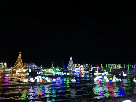 夜のライトアップ