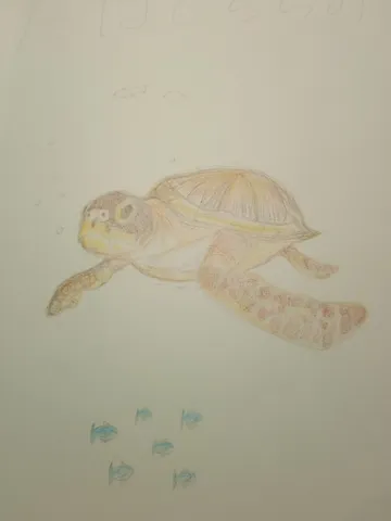 悠々と泳ぐウミガメと小さな仲間たち