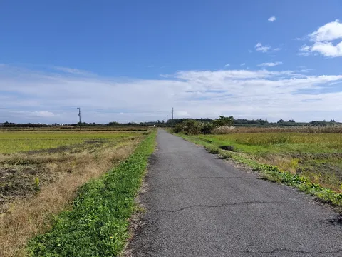 青空と田んぼの一本道