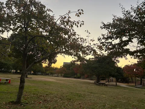 夕暮れの公園の静けさ