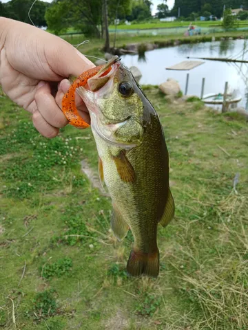 今日の釣果！ピカピカの魚にニッコリ