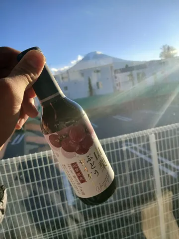 山梨ぶどうジュースと富士山