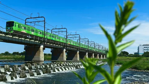 青空と川を渡る鮮やかな列車